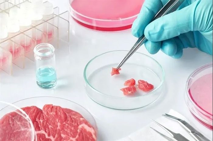 Lab-grown meat.