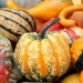 three types of food that help nicoya green zone residents live healthy long lives 131037