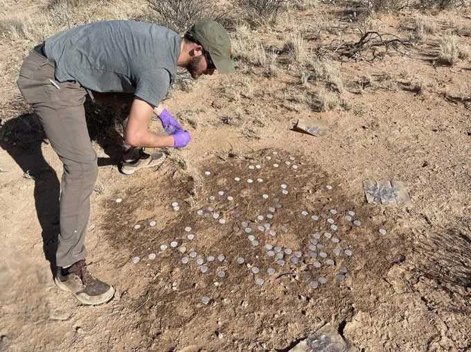 An expert collecting components of the biological crust from the field