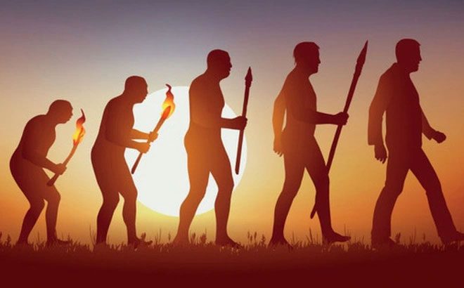 The evolution of humanity.