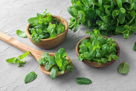 Lemon Balm has diverse health benefits.