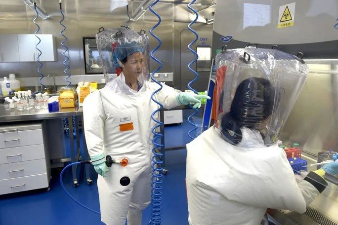 Dr. Shi Zhengli (standing) in the laboratory