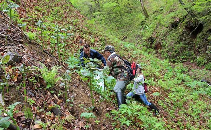 Foraging for food is a cultural experience worth trying in Japan