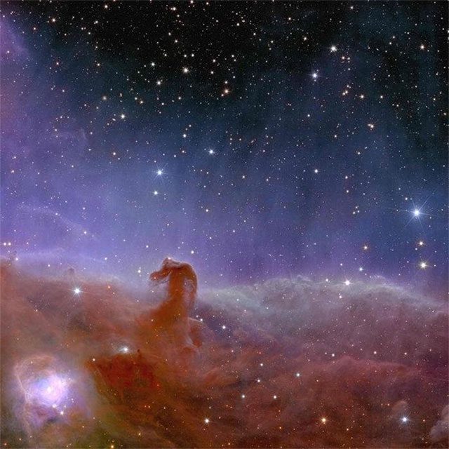 The Euclid Space Telescope Unveils Stunning Panorama of the Horsehead Nebula.