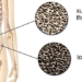 top 4 foods rich in calcium that make many people surprised about thin bones 130875
