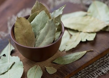 top 8 health benefits of mugwort leaf 130395