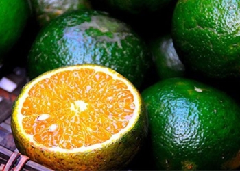 top 9 fruits low in sugar helping women prevent aging 129077