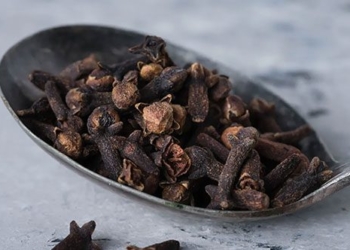 top 9 surprising benefits of familiar flavor guidelines in pho bo 129854