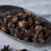top 9 surprising benefits of familiar flavor guidelines in pho bo 129854