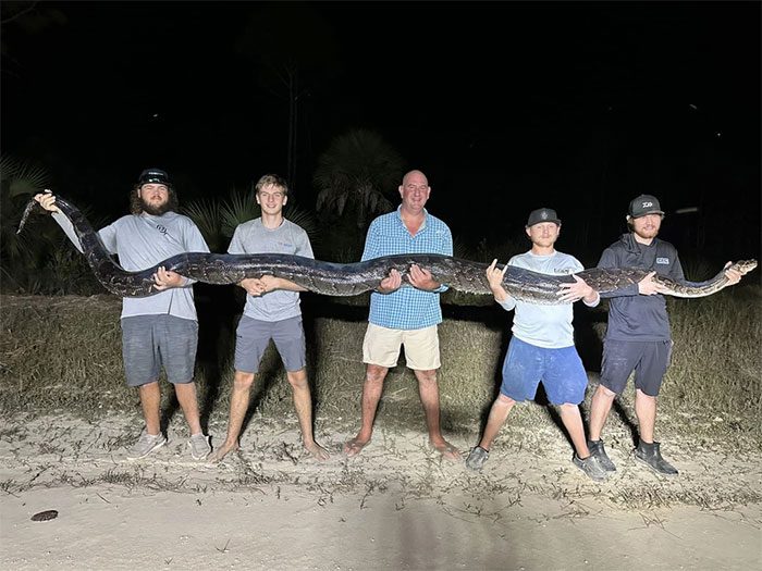 Wildlife experts had a tough time controlling and capturing the python