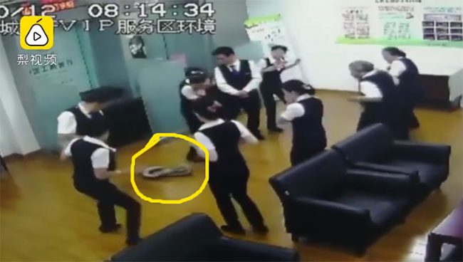 A 2-meter python unexpectedly fell down.