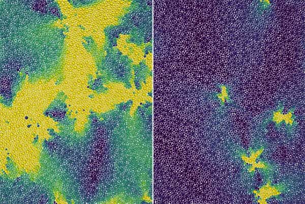 New state of matter