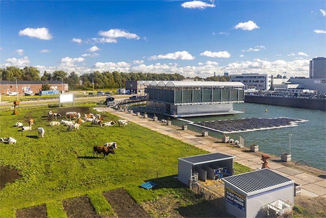 The floating farm in Rotterdam (Netherlands).