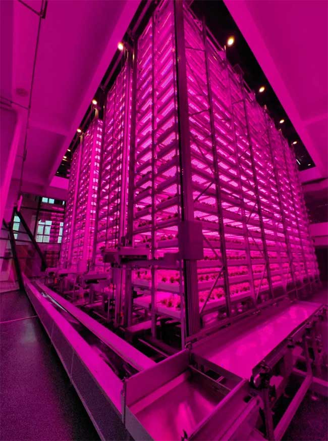 China's tallest automated farm
