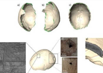 treasure 7 000 year old most remarkable cave in spain 129963