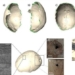 treasure 7 000 year old most remarkable cave in spain 129963