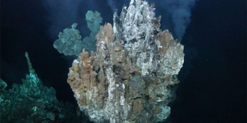 tropical thermal spring 600m below sea level 131379