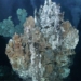 tropical thermal spring 600m below sea level 131379