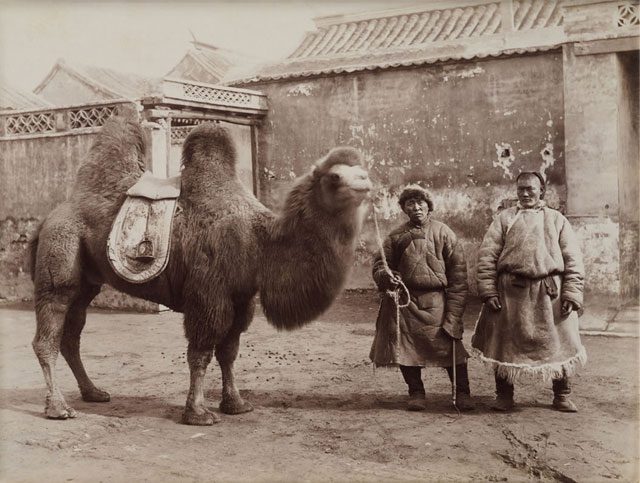 Photograph of Mongolian merchants.