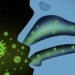 types of diseases transmitted through the air 131091