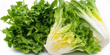 types of fresh vegetables for rolls that help reduce cholesterol and protect cardiovascular health 131242