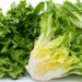 types of fresh vegetables for rolls that help reduce cholesterol and protect cardiovascular health 131242
