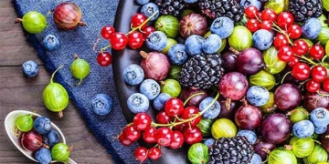 unexpected benefits of mong fruit 129538