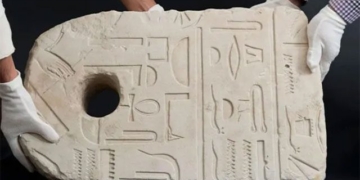 unexpected discovery of a 3000 year old entity in the ocean 130531