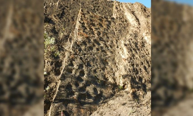 The dinosaur footprint-covered surface of the cliff in Denali.