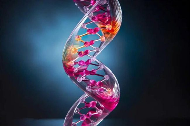 The "skeleton" model of the new material made from DNA and glass