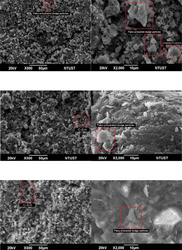 Microscopic image of CLSM material from the research group.