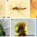 version 125 million year old of human creatures still need to fear 131397