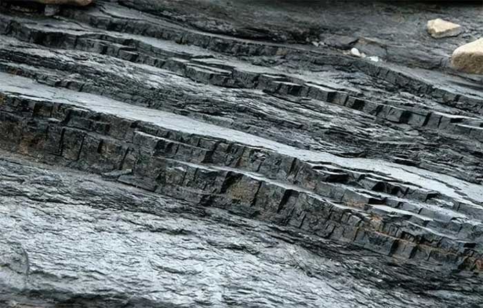 The flammable nature of coal makes it an ideal fuel.