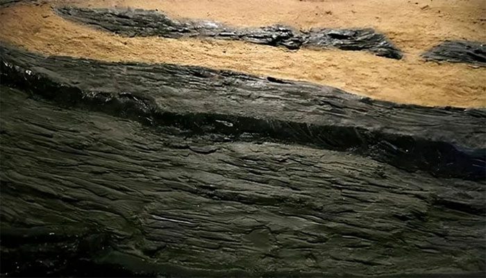 Coal is formed from the accumulation of plant debris over millions of years
