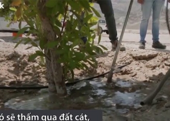 video introducing sand dune soil type helping transform sa mac into farm land 130984