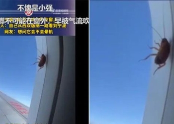 video stealing from airplane window at 10 000m altitude 120 million views 129419
