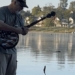video strange man catches fish with banjos 129672