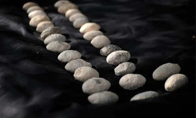 Uniformly shaped and sized projectiles.