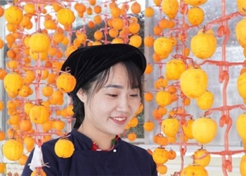 vietnamese startup aspiration to bring hong vanh hang dang to the world 130432