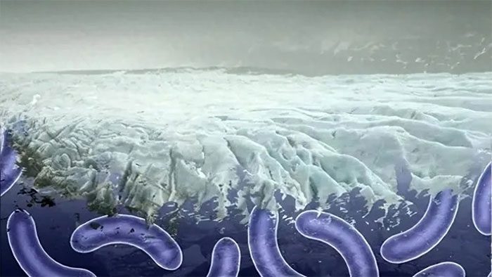 International cooperation may be key to preventing the spread of potential viruses.