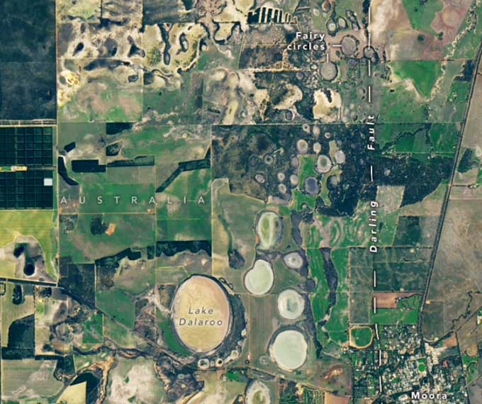 Landsat 9 satellite image of fairy circles near Moora, Australia.