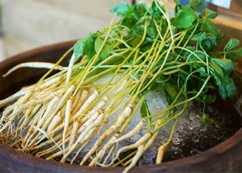 what experts say about the sam mam vegetable lifestyle to improve health 129296