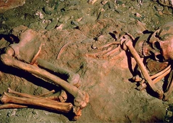 when do humans begin to choose death 130575