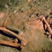 when do humans begin to choose death 130575