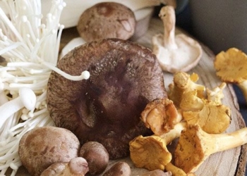 which foods should you be aware of when eating mushrooms 129404