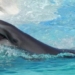 wholphin the offspring of bottlenose dolphin and beluga whale 130048
