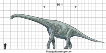 why dinosaurs grew so large 130671