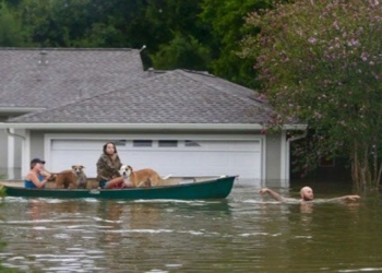 why recently the tropical depression causes heavier flooding in major cities 130111