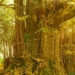 why this species of plant is considered an endangered species and is facing extinction 129649