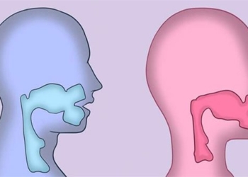 why women and men have different voices 130509